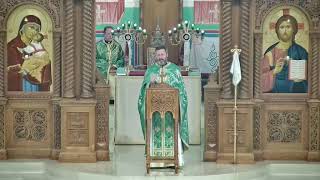 Fr. Cal Homily | June 4, 2023