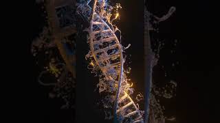 DNA in Motion: Short Animated Insights into Genetic Wonders