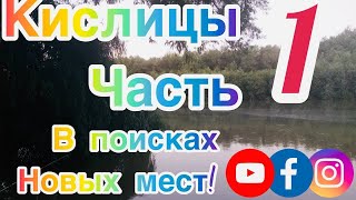 Путешествие и рыбалка. Вылазка в Кислицы.В поисках новых мест. Часть первая