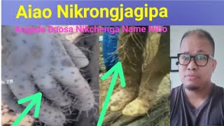 Aiao Nikrongjagipa Angade Daosa Nikchenga Name Nibo #viralvideo