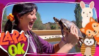 Visita el centro de recuperación de ANIMALES 🦉🦅 KUNA IBÉRICA con Lara Ok