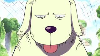 One Piece funny Moment - Zoro vs The DOG