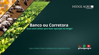 Banco ou Corretora: Qual canal utilizar para fazer operações de Hedge? #hedge #milho #soja #boi