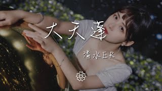 清水er - 大天蓬 (女生版)『這一世換我護你一對』【動態歌詞Lyrics】