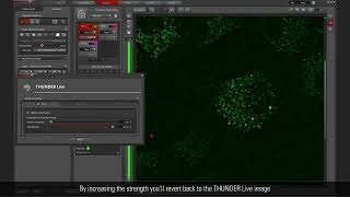 See intracellular events moving in live cells with THUNDER Live