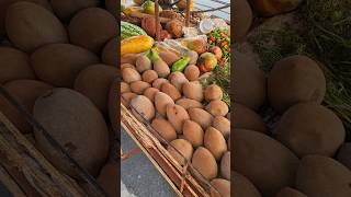 Temporada de Mamey en Playa de Santa Fé Cuba #santafe #santafecuba