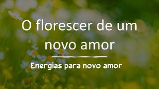 Como está a sua energia para o novo amor? - tarot