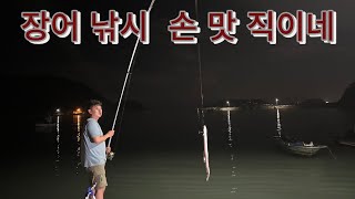 장어가 엄청 커요!?  장어 낚시/여기는 진도군 조도면 읍구 밤 낚시 #낚시 #밤낚시