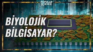 Biyolojik Bilgisayar Nedir? | Popular Science Türkiye