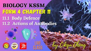 11.1 Body Defence & 11.2 Actions of Antibodies