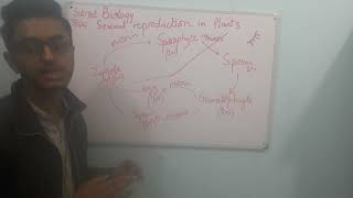 biology 10th chapter 14 Reproduction topic: sexual reproduction in plants