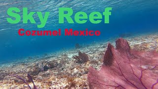 Sky Reef Club Cozumel, near Yucab