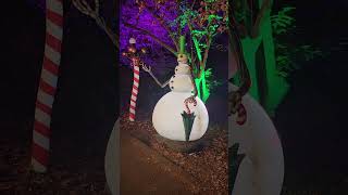 The Nightmare Before Christmas Light Show Snowman #nightmarebeforechristmas