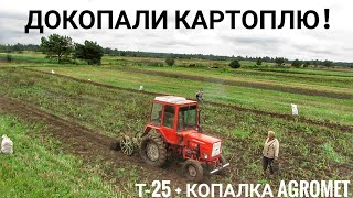 Т 25 1989року з копалкою AGROMET 1976року / Докопали картоплю / 70 мішків з 20 сотей!