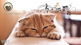 Cat Relaxation Music - Calming Sleep Music + Cat Purring Sounds