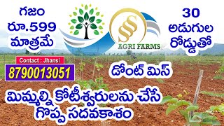 Best low cost land with red sandal wood plants & 7.50 లక్షలతో కోటేశ్వరులయ్యే గొప్ప అవకాశం