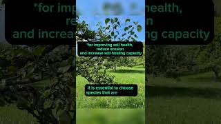 3 cover crops in your orchard! #agriculture #agro #farming #orchard #apple #mexico