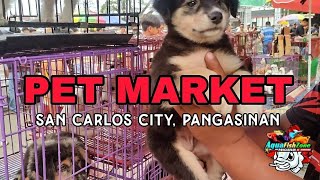 PET MARKET WOW ASTIG MGA BENTANG ASO DITO😱 | updating 12/20/23