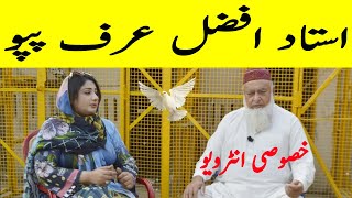 Most Experienced Kabotar Baz Ustad Ch Afzal Interview | Hina Aihsan | Kabutar Tv | کبوتر بازی | Tv,