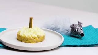 Cat Friendly Birthday Cake Recipe | Made in Battersea