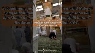 KEMULIAAN RAUDHOH AREA DI DALAM MASJID NABAWI - UMROH DAN HAJI PT AN NAMIROH TRAVELINDO