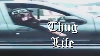 Thug Life Funny Videos 2016