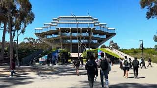 Springtime Stroll Through UC San Diego | 4K HDR