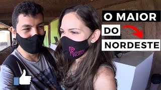 Fui conhecer o aquário de Natal O Maior Aquário do Nordeste (Vlog-2)