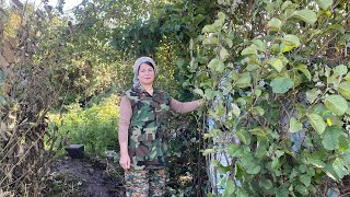 Building a shelter for hunting