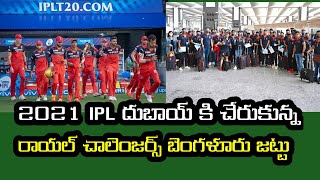 2021 IPL royal challengers Bangalore team successfully reached in UAE part of the IPL 2021