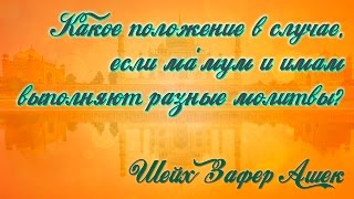 Какое положение в случае, если ма`мум и имам выполняют разные молитвы? - шейх Зафер Ашек