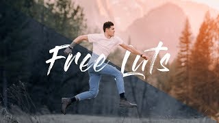 BEST FREE CINEMATIC LUTS! Reviewing Zack Kravits free Luts