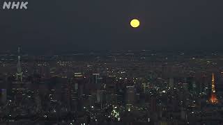 東京の夜景とスーパームーン　supermoon　perigee moon