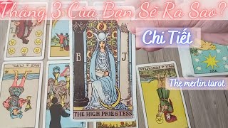 Tháng 3 Của Bạn Sẽ Ra Sao?*Chi Tiết*-Chọn 1 Nhóm- Prediction