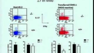 Part 7_13th Annual Autoimmunity Day_Johns Hopkins University