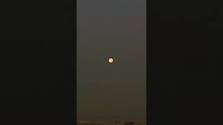 Super Flower Blood Moon | 6X Video on IPhone 12 Pro | #Shorts