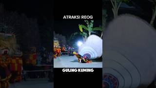 Reog terguling hingga marah marah