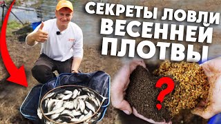 Ловля ПЛОТВЫ весной! Советы, тактика и СЕКРЕТЫ от Алексея Пугача!