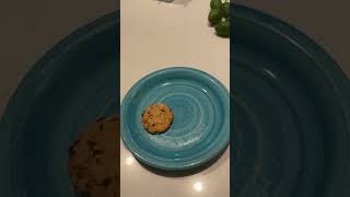 cookie clicker in real life