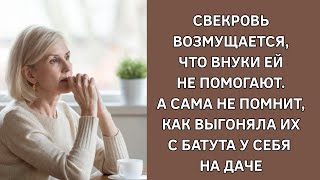 Свекровь возмущается, что внуки не помогают ей, а сама не помнит, как выгоняла их с батута на даче!