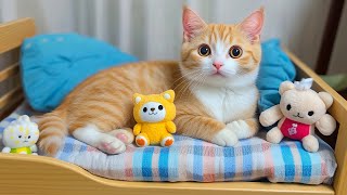 12 часов красивой музыки для расслабления кошки 🐱 Глубокое расслабление и снятие стресса — звук м...