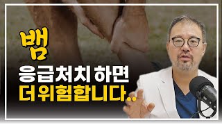 [털보의사] 뱀에 물리면 응급처치 아무것도 하면 안 됩니다. 매우 위험합니다..#뱀물렸을때 #응급처치 #대처방법