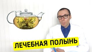 Полынь: лечебные свойства и секреты правильного применения