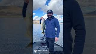 When will I stop fishing? #fishing #subscribe #short #shortvideo #funny #bassfishing #funnyvideo