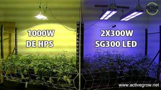 Active Grow SG300 LED Grow Light Vs. Industry Leading DE HPS Lamp Time-lapse