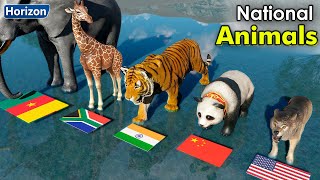 National animals of different countries