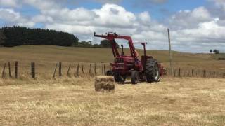 Baling Hay International 574 and 445D New Zealand