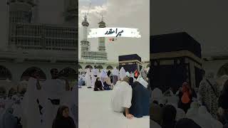 kabay ki ronak #islam #naatstatus #youtubeshorts #viralnaat #kaba