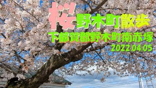 【VLOG】野木町 散歩《桜》栃木県下都賀郡野木町南赤塚 2022.04.05