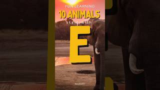 10 Fun Animals Starting with 'E'! #animalshorts #lalalikidstv #kidsanimals